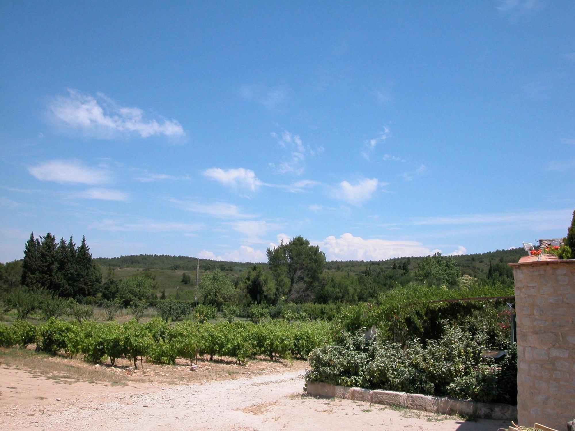 Le Mazet De La Dame Bed & Breakfast Barbentane Dış mekan fotoğraf