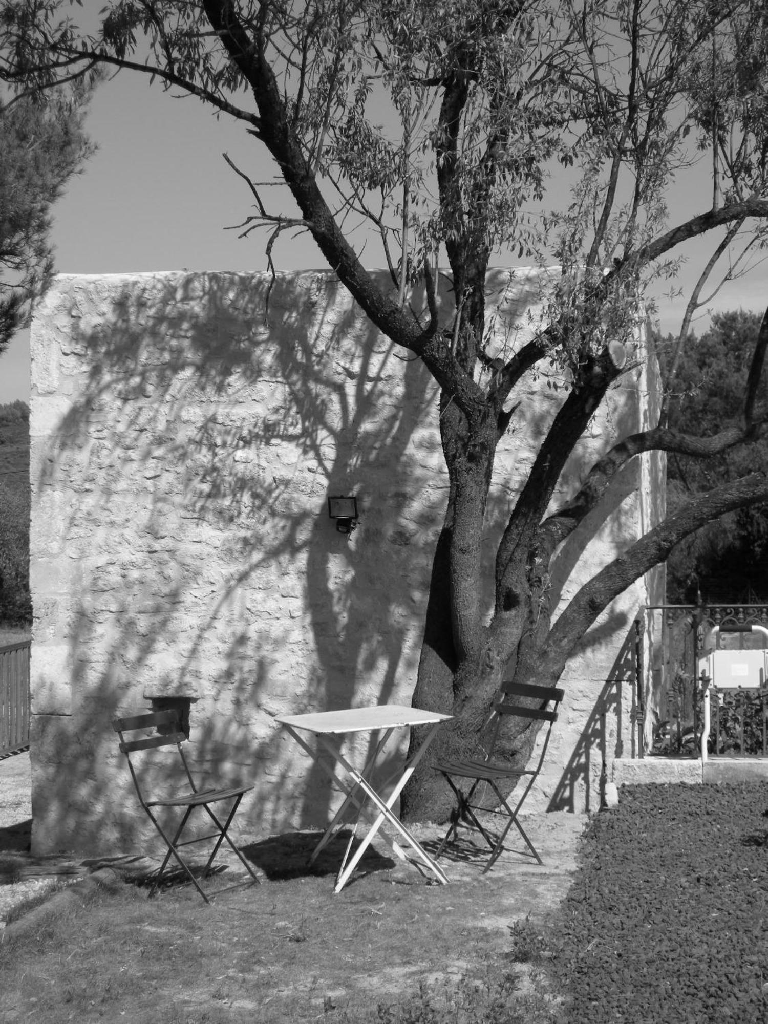 Le Mazet De La Dame Bed & Breakfast Barbentane Dış mekan fotoğraf